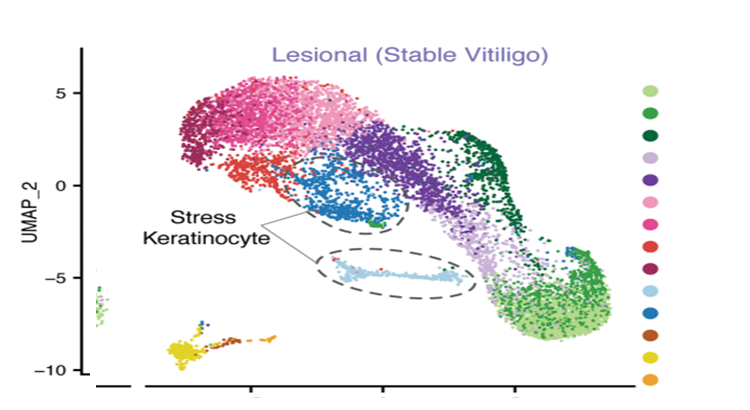 SPATIAL FIGURE FROM KRAUS AND DAI GEOMX